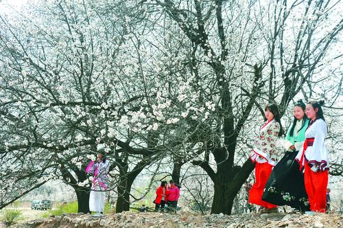 bbin·宝盈官方首页品牌形象